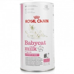 Babycat leche Royal Canin