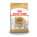 Labrador Retriever Royal Canin