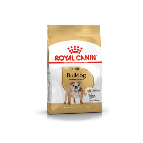 Bulldog Royal Canin