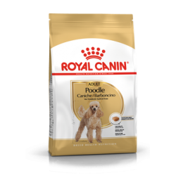 Poodle Royal Canin