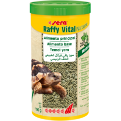 Raffy Vital tortugas tierra