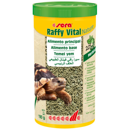 Raffy Vital tortugas tierra