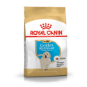 Golden Retriever Junior Royal Canin
