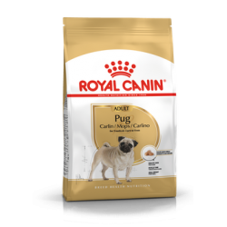 Pug/Carlino Royal Canin