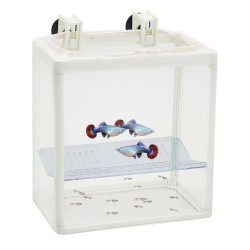 Paridera de red con separador