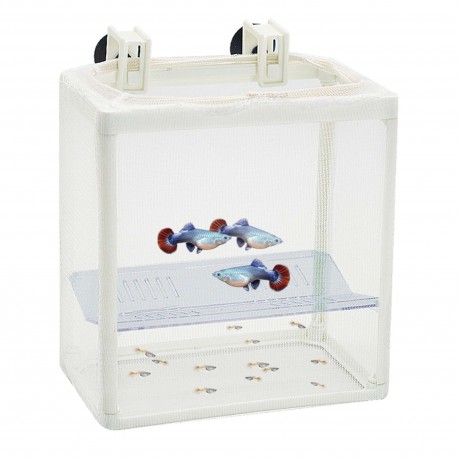 Paridera de red con separador