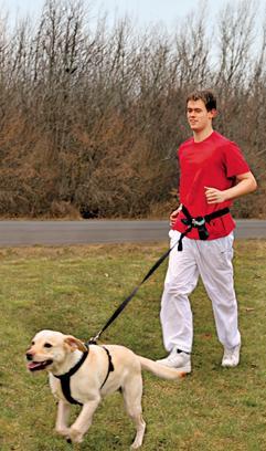 Deporte con tu perro
